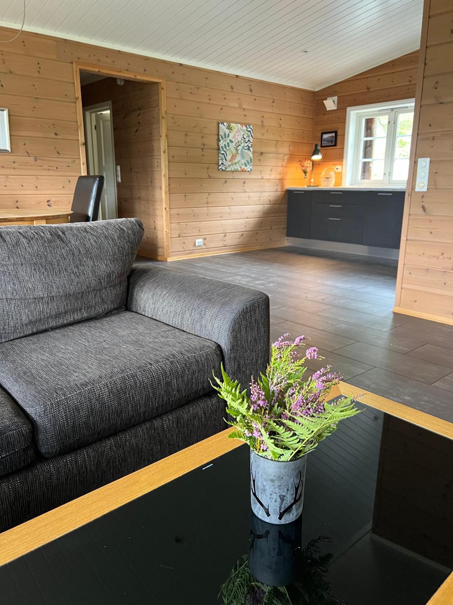 Hydlahytta Stryn Villa Buitenkant foto